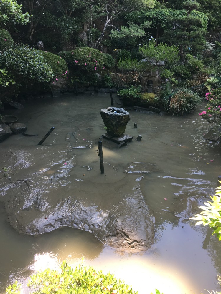 廣善寺泉水池の泥上げです。水を抜いたらこんなに泥が。
