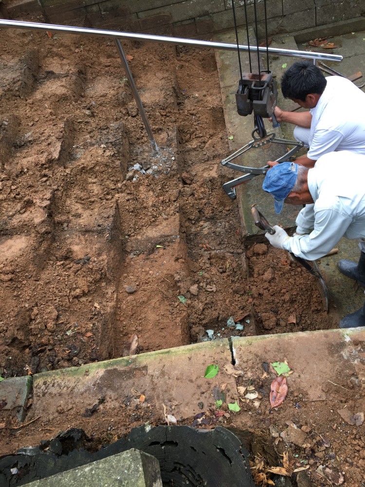 泥が蟻の巣になっており泥ごと整形してもらってます。