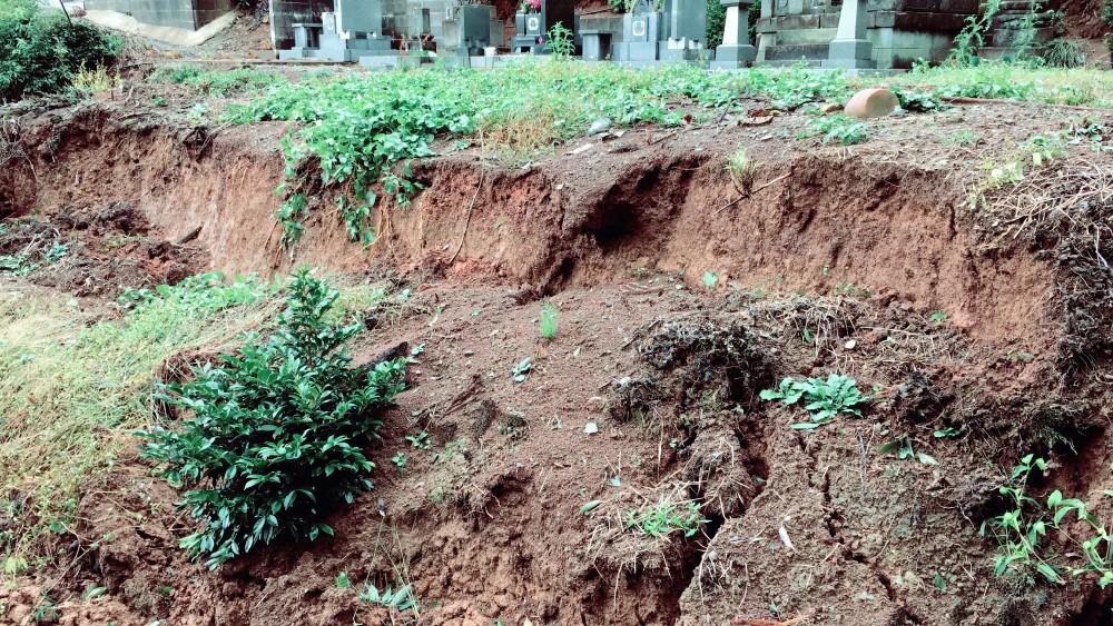 台風21号は村墓の前の泥を落として去って行きました。