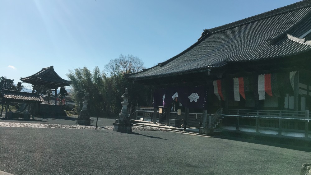 よく晴れて気持ちの良い日でした。